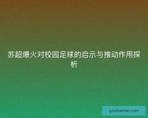 苏超爆火对校园足球的启示与推动作用探析